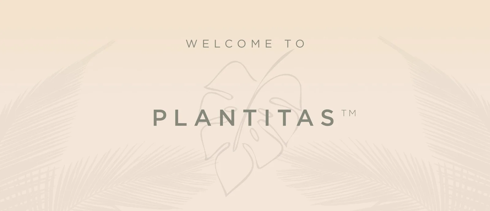 🤍 • @vs.cbd Plantitas “ Otro Día Mas “ 🌱 Meet Plantitas Dry Shampoo –  your secret to fresh, voluminous hair anytime, anyw