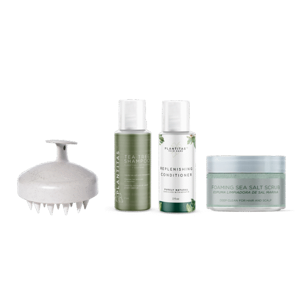 mini refresh revive dec 2025