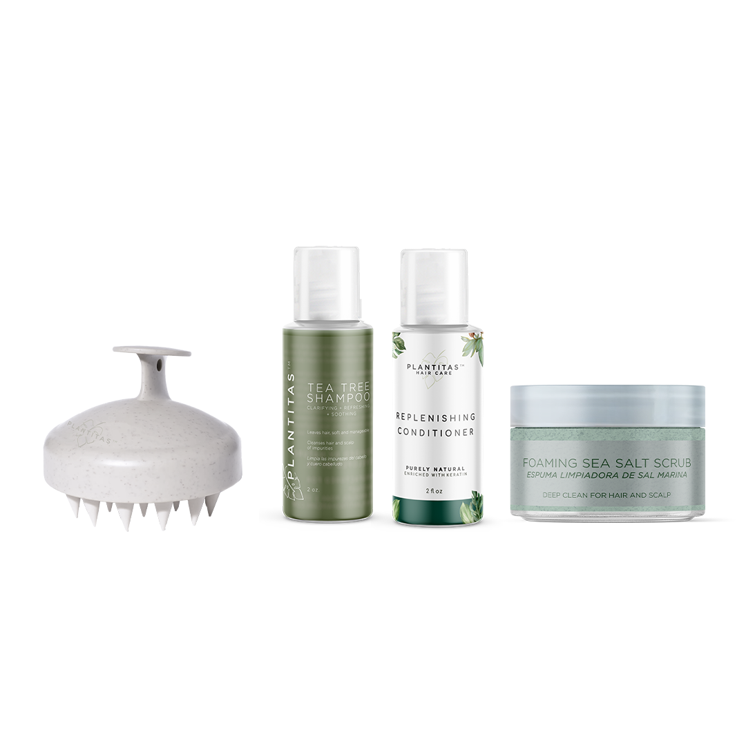 mini refresh revive dec 2025